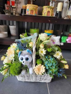 Aranjament hortensie, minigerbera, trandafiri, crizantema, alstromeri, eustoma, plus catelus